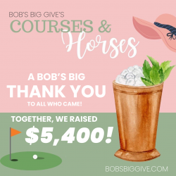 UPDATE: COURSES & HORSES